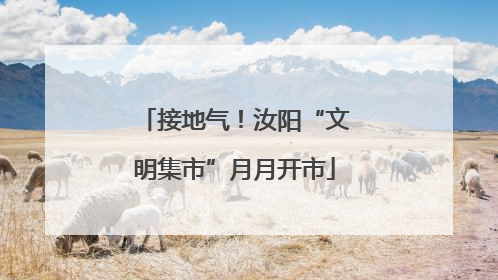 接地气！汝阳“文明集市”月月开市