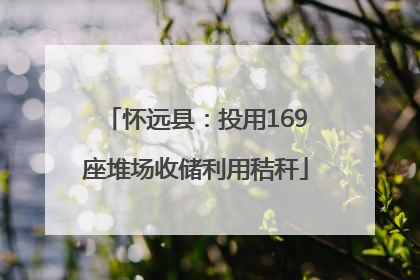 怀远县：投用169座堆场收储利用秸秆