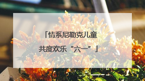情系尼勒克儿童 共度欢乐“六一”