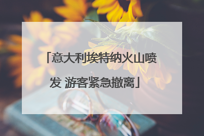 意大利埃特纳火山喷发 游客紧急撤离