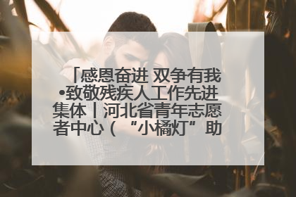 感恩奋进 双争有我•致敬残疾人工作先进集体丨河北省青年志愿者中心（“小橘灯”助残接力计划实施团队）：用温暖陪伴，守护特殊孩子成长