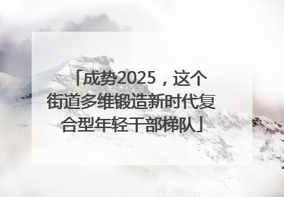 成势2025，这个街道多维锻造新时代复合型年轻干部梯队