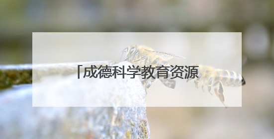 成德科学教育资源深度融合！德阳经开区这场活动为同城化发展注入教育动能