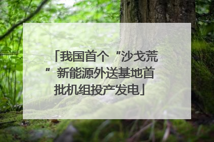 我国首个“沙戈荒”新能源外送基地首批机组投产发电