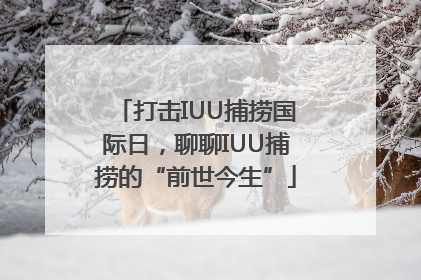 打击IUU捕捞国际日，聊聊IUU捕捞的“前世今生”