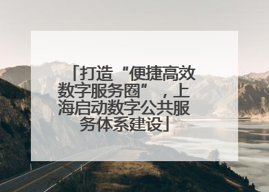 打造“便捷高效数字服务圈”，上海启动数字公共服务体系建设
