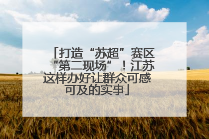 打造“苏超”赛区“第二现场”！江苏这样办好让群众可感可及的实事