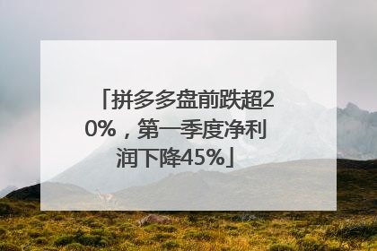 拼多多盘前跌超20%，第一季度净利润下降45%