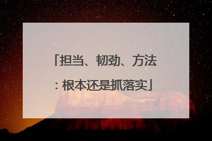 担当、韧劲、方法：根本还是抓落实