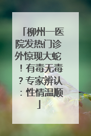 柳州一医院发热门诊外惊现大蛇！有毒无毒？专家辨认：性情温顺