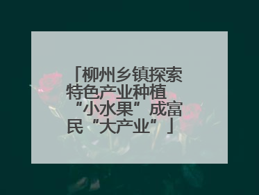 柳州乡镇探索特色产业种植 “小水果”成富民“大产业”