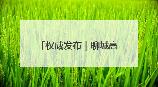 权威发布｜聊城高新区“顾乡平野”片区成为市民城郊休闲全新目的地