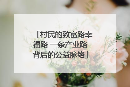 村民的致富路幸福路 一条产业路背后的公益脉络