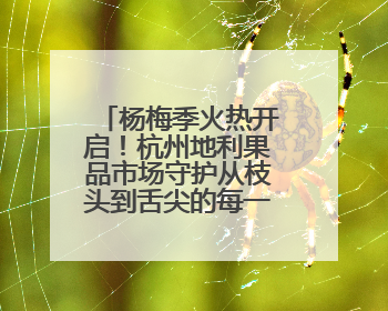 杨梅季火热开启！杭州地利果品市场守护从枝头到舌尖的每一口鲜甜