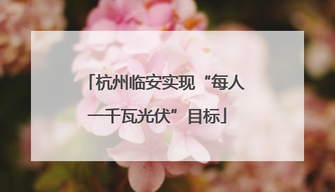 杭州临安实现“每人一千瓦光伏”目标