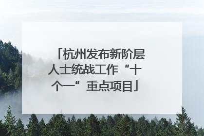 杭州发布新阶层人士统战工作“十个一”重点项目
