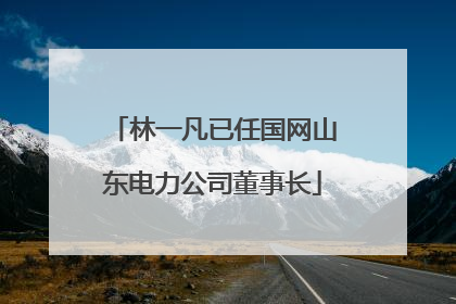 林一凡已任国网山东电力公司董事长