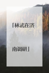 林武在济南调研
