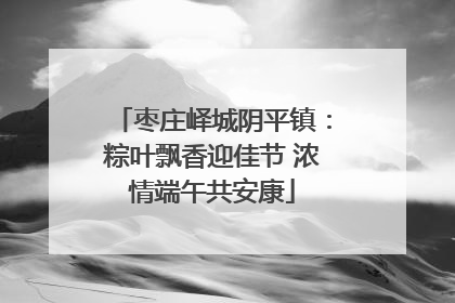 枣庄峄城阴平镇：粽叶飘香迎佳节 浓情端午共安康