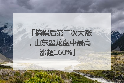摘帽后第二次大涨，山东墨龙盘中最高涨超160%