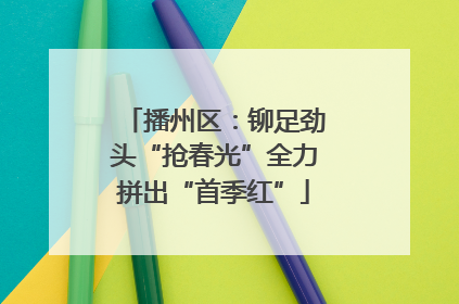 播州区：铆足劲头“抢春光”全力拼出“首季红”