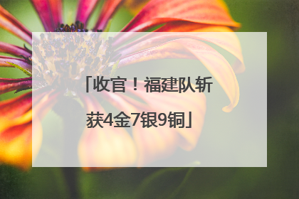 收官！福建队斩获4金7银9铜