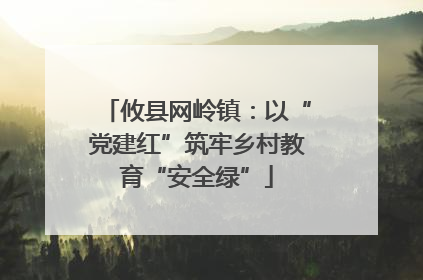 攸县网岭镇：以“党建红”筑牢乡村教育“安全绿”