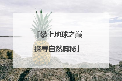 攀上地球之巅 探寻自然奥秘