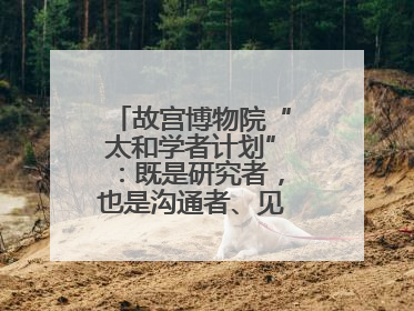 故宫博物院“太和学者计划”：既是研究者，也是沟通者、见证者和讲述者