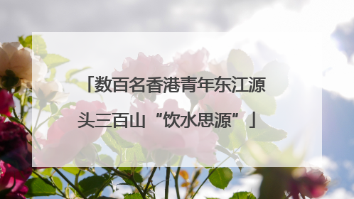 数百名香港青年东江源头三百山“饮水思源”