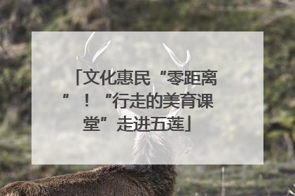 文化惠民“零距离”！“行走的美育课堂”走进五莲