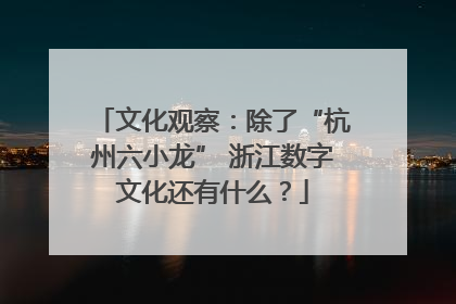 文化观察：除了“杭州六小龙” 浙江数字文化还有什么？