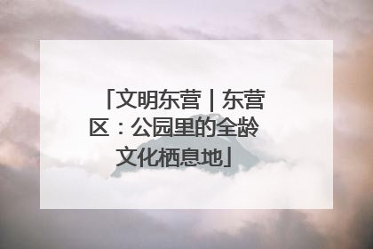 文明东营｜东营区：公园里的全龄文化栖息地