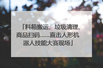 料箱搬运、垃圾清理、商品扫码……直击人形机器人技能大赛现场