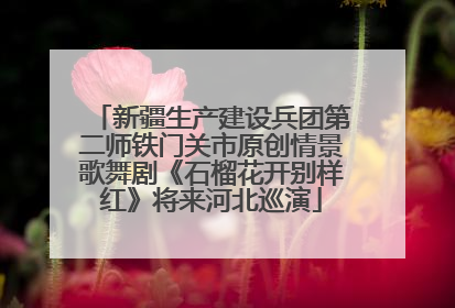 新疆生产建设兵团第二师铁门关市原创情景歌舞剧《石榴花开别样红》将来河北巡演