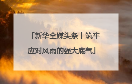 新华全媒头条丨筑牢应对风雨的强大底气