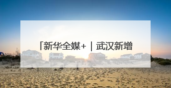 新华全媒+｜武汉新增10条低空物流航线