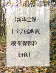 新华全媒+丨全力抢收夏粮 确保颗粒归仓