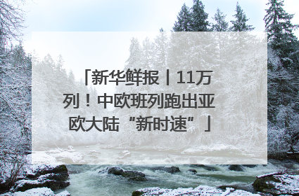 新华鲜报丨11万列！中欧班列跑出亚欧大陆“新时速”