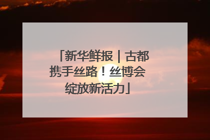 新华鲜报｜古都携手丝路！丝博会绽放新活力