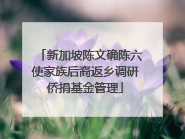 新加坡陈文确陈六使家族后裔返乡调研侨捐基金管理