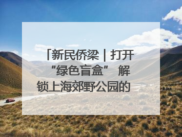 新民侨梁｜打开“绿色盲盒” 解锁上海郊野公园的N种玩法