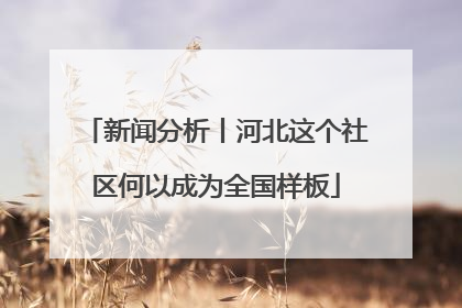 新闻分析丨河北这个社区何以成为全国样板