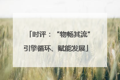 时评：“物畅其流”引擎循环、赋能发展