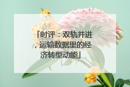时评：双轨并进，运输数据里的经济转型动能