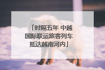 时隔五年 中越国际联运旅客列车抵达越南河内