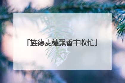 旌德麦穗飘香丰收忙