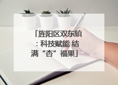 旌阳区双东镇：科技赋能 结满“杏”福果