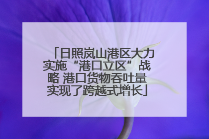 日照岚山港区大力实施“港口立区”战略 港口货物吞吐量实现了跨越式增长