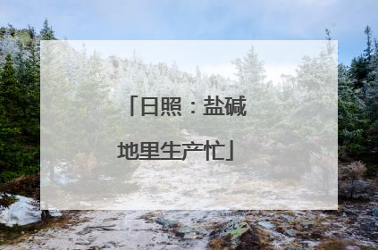日照：盐碱地里生产忙